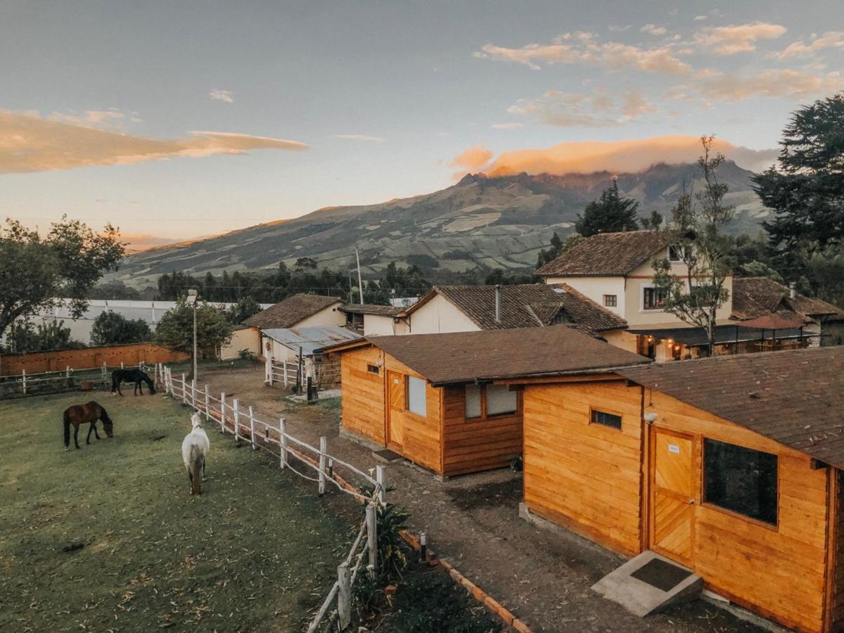 Hosteria Papagayo Cotopaxi Machachi Luaran gambar